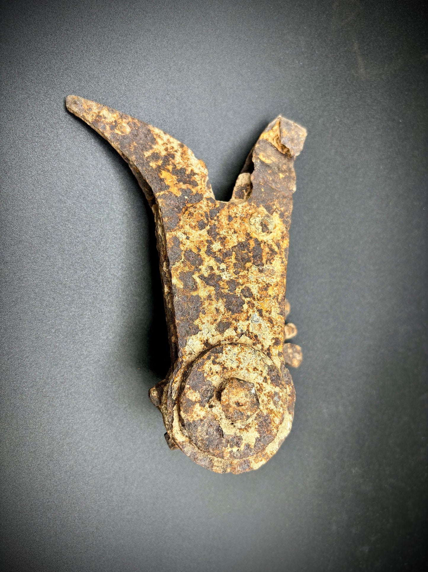 WW1 Lee Enfield Wire Cutters Relic Mametz Find
