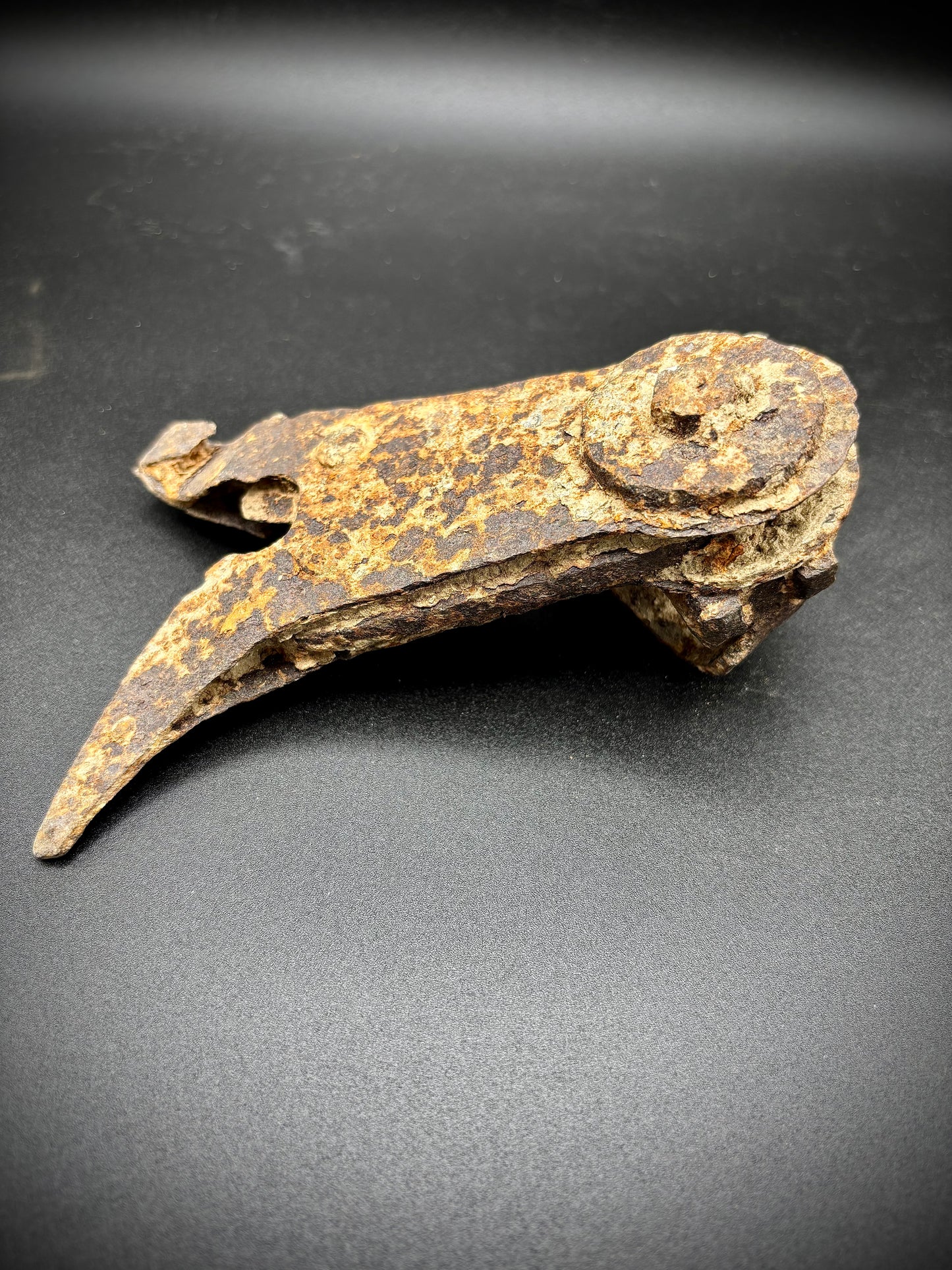 WW1 Lee Enfield Wire Cutters Relic Mametz Find