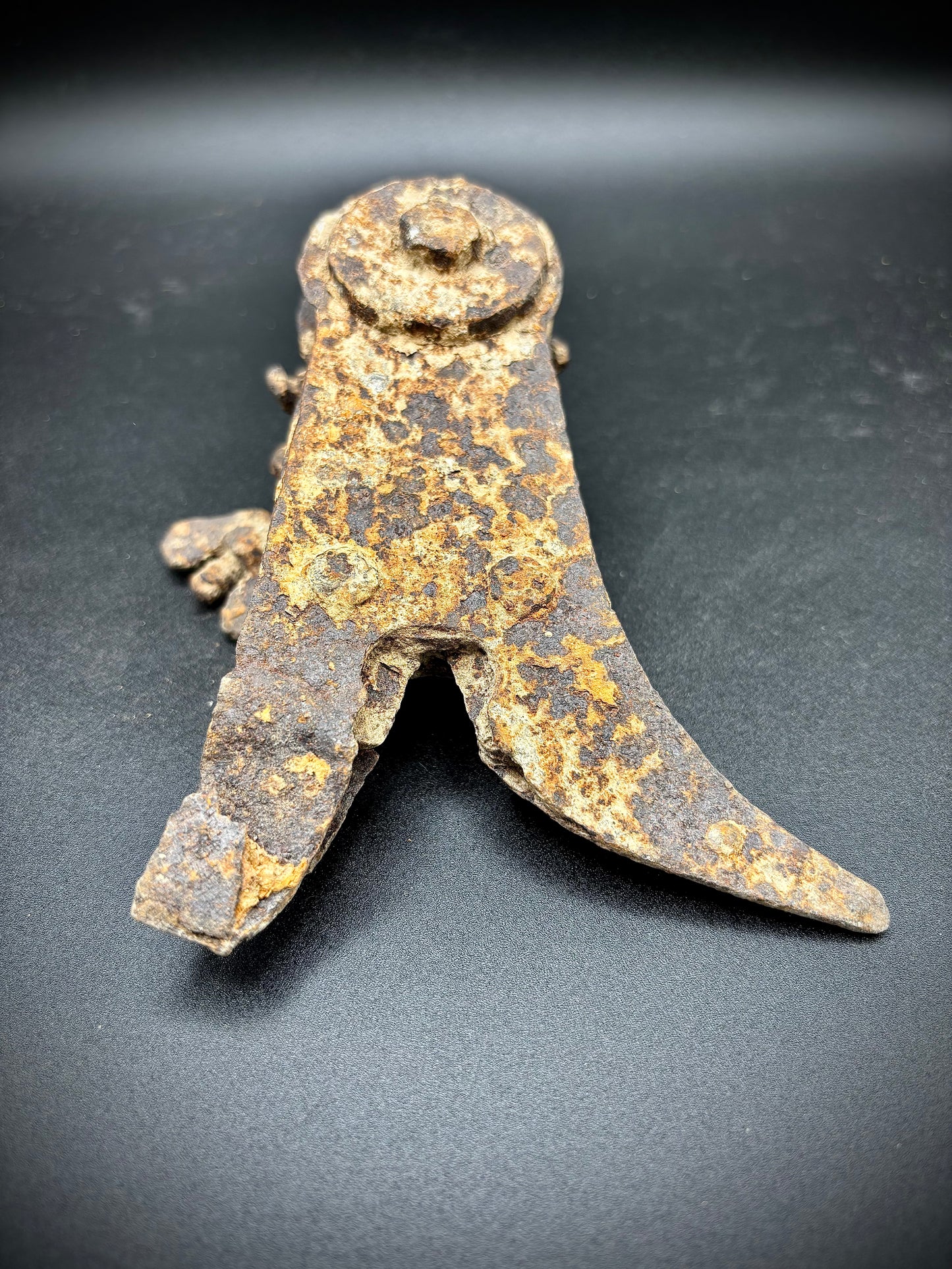WW1 Lee Enfield Wire Cutters Relic Mametz Find