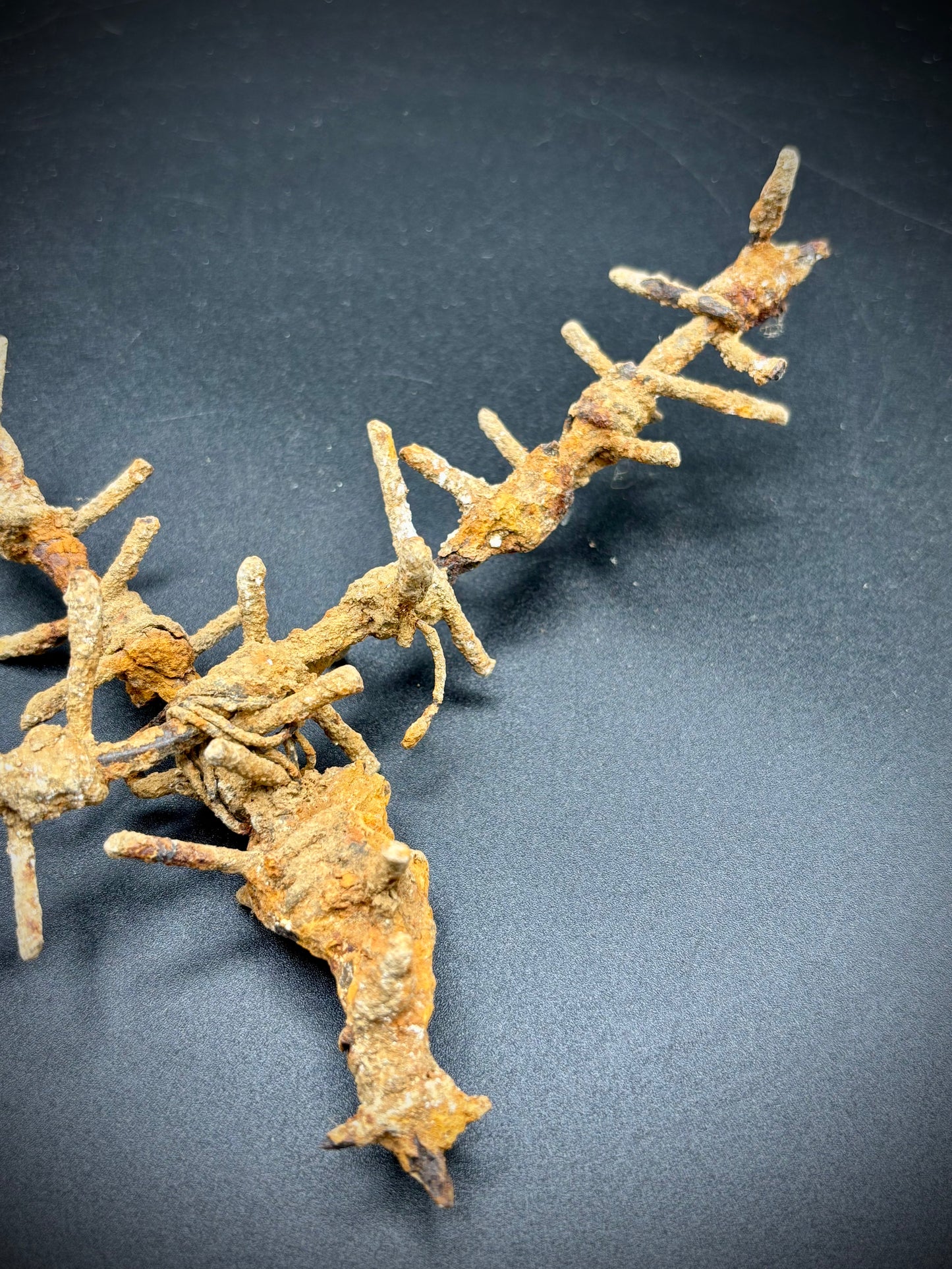 WW1 Barbed Wire Section Somme Find