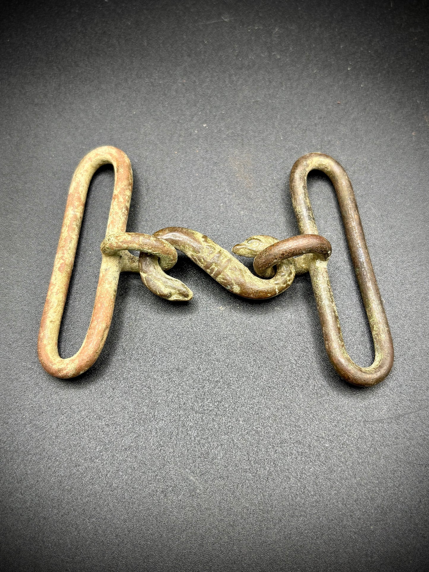 WW1 Snake Buckle Found At Mametz