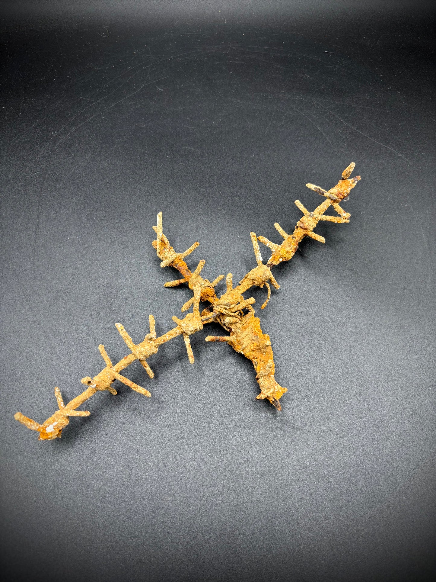 WW1 Barbed Wire Section Somme Find