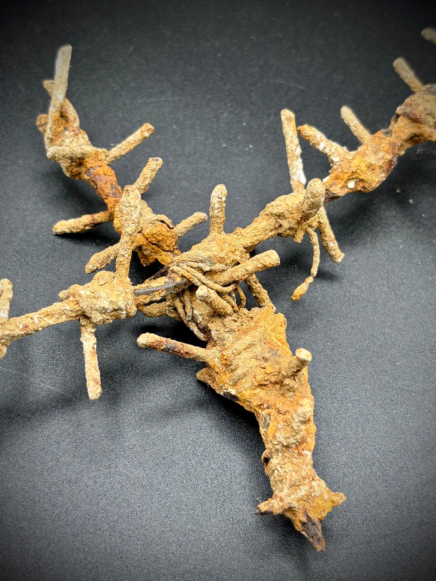 WW1 Barbed Wire Section Somme Find