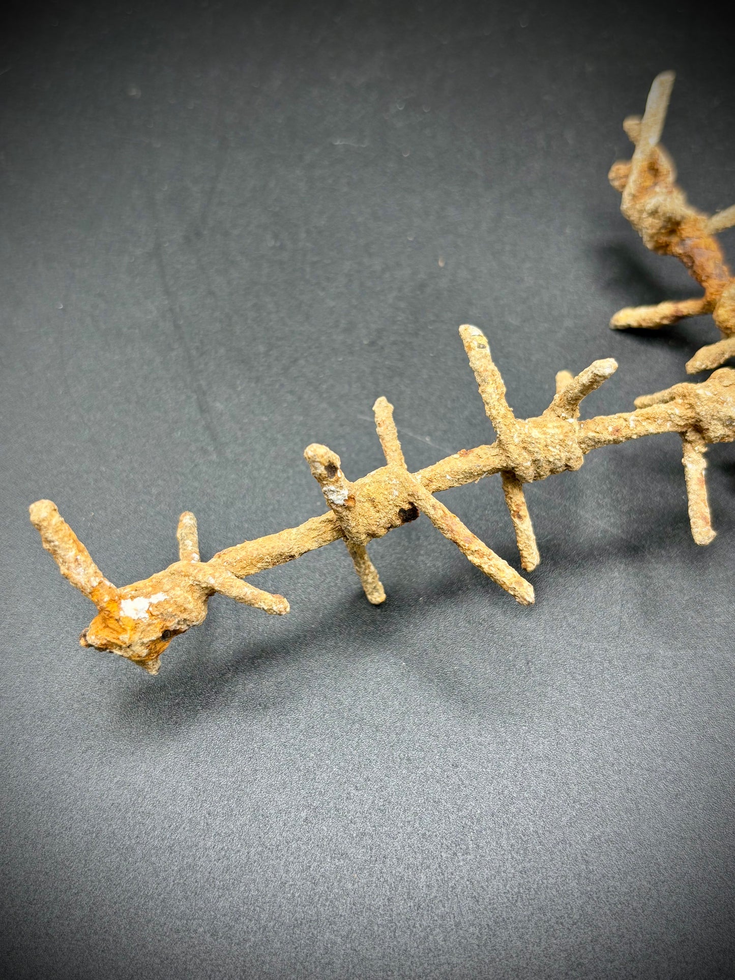 WW1 Barbed Wire Section Somme Find